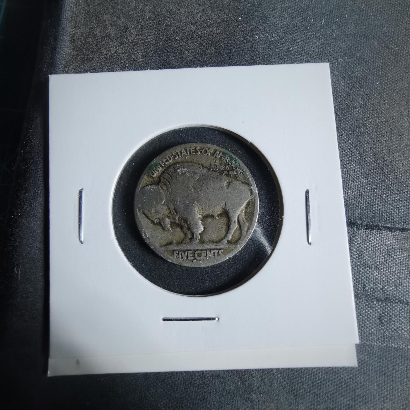 沼泽如烟--第923场 美国野牛五分