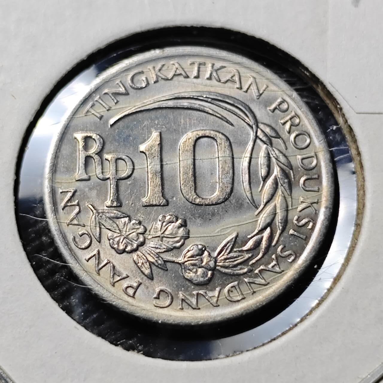 KK钱币收藏小铺 第375期  2月预留时间 周末发货