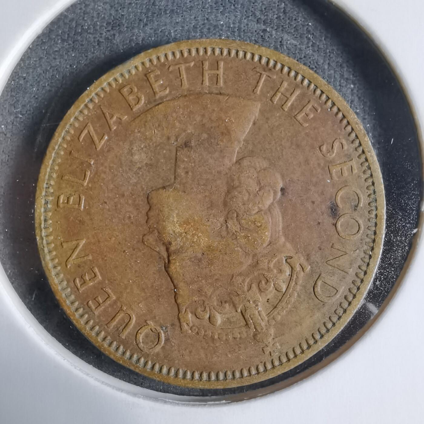 沼泽如烟--第923场