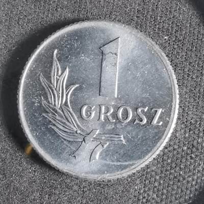 沼泽如烟--第923场 - 波兰1949年1格罗申