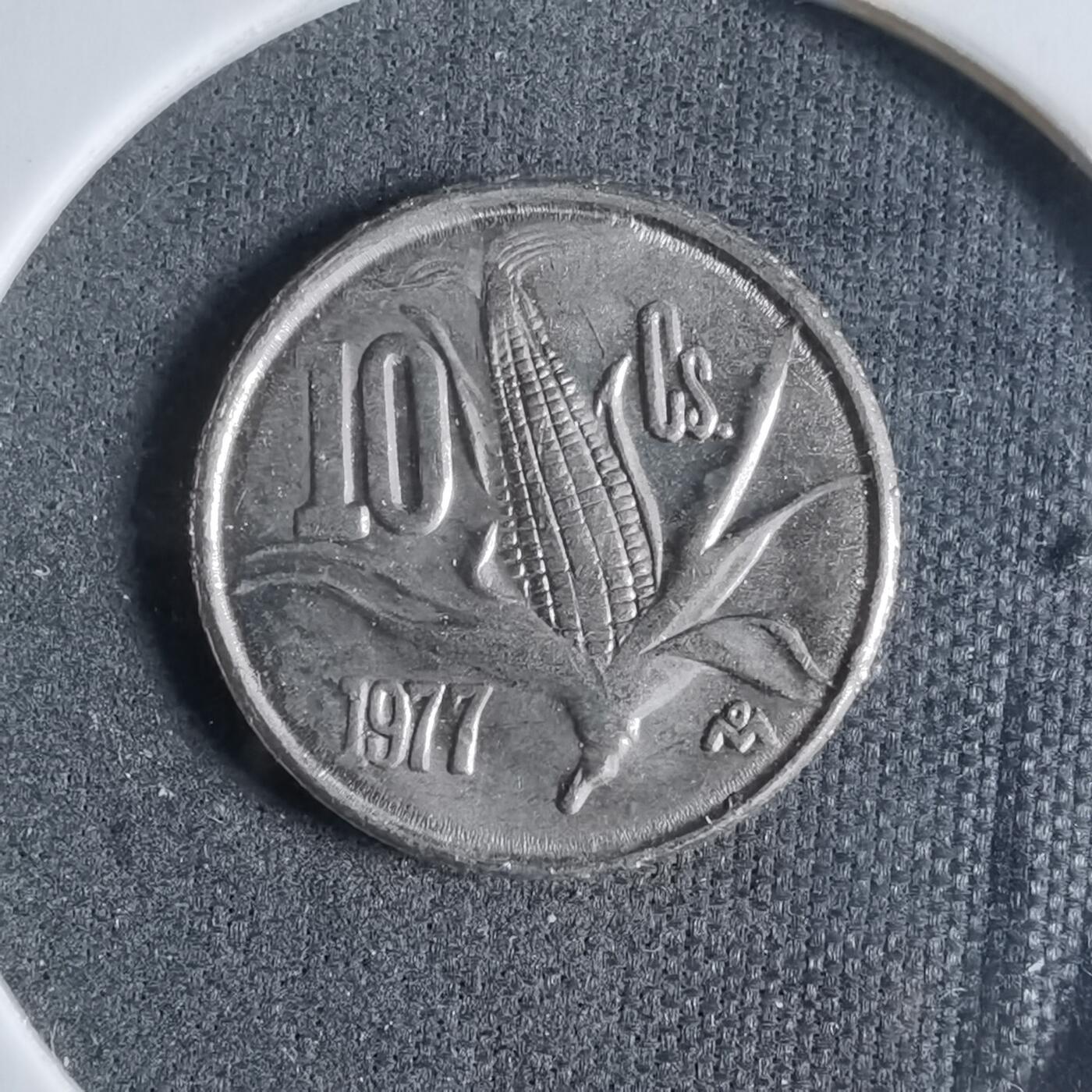 沼泽如烟--第923场 墨西哥1977年十分