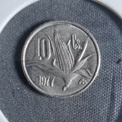 沼泽如烟--第923场 - 墨西哥1977年十分