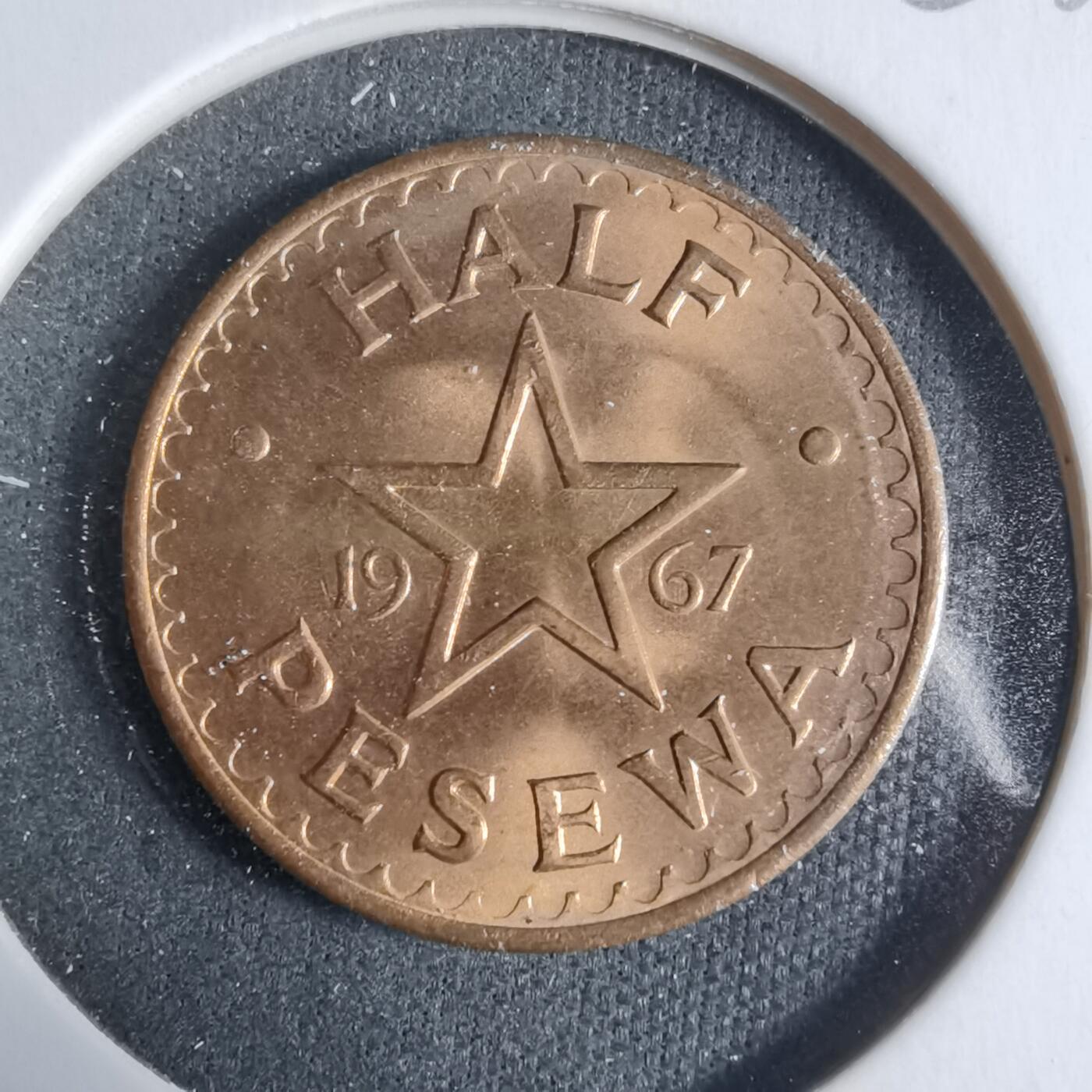 沼泽如烟--第923场