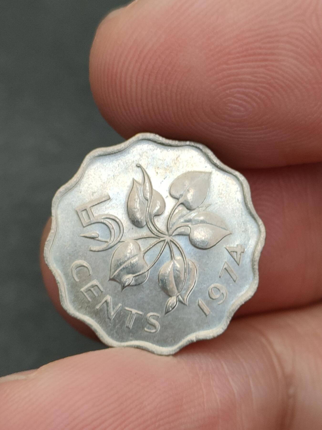 猩哥外币小铺➨【第205场】 非洲