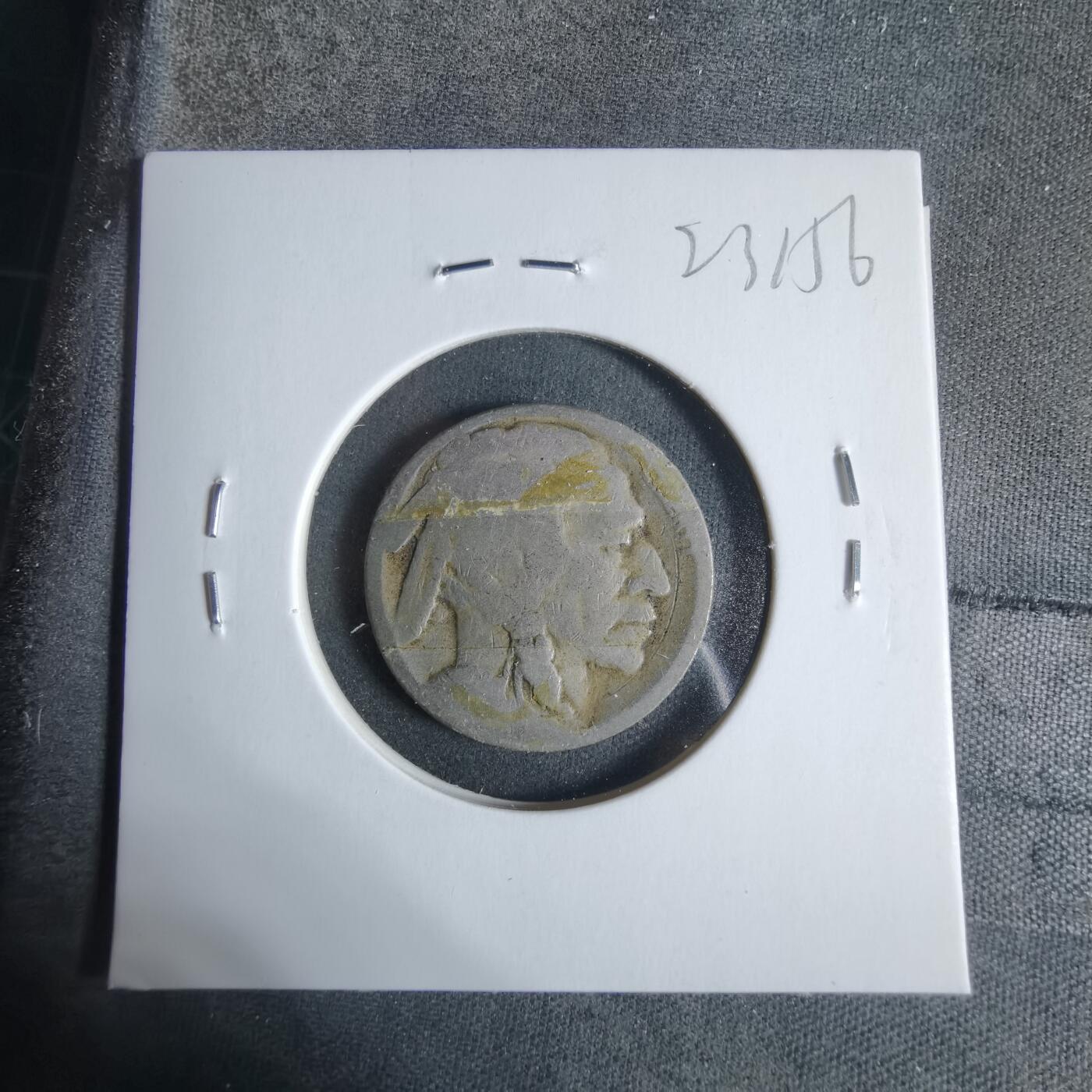 沼泽如烟--第923场 美国野牛五分