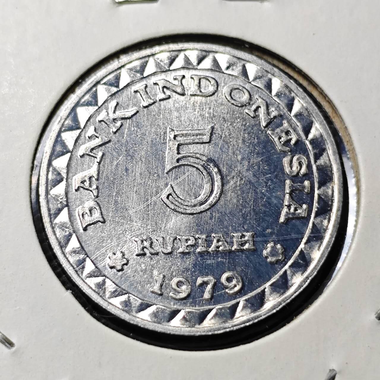 KK钱币收藏小铺 第375期  2月预留时间 周末发货