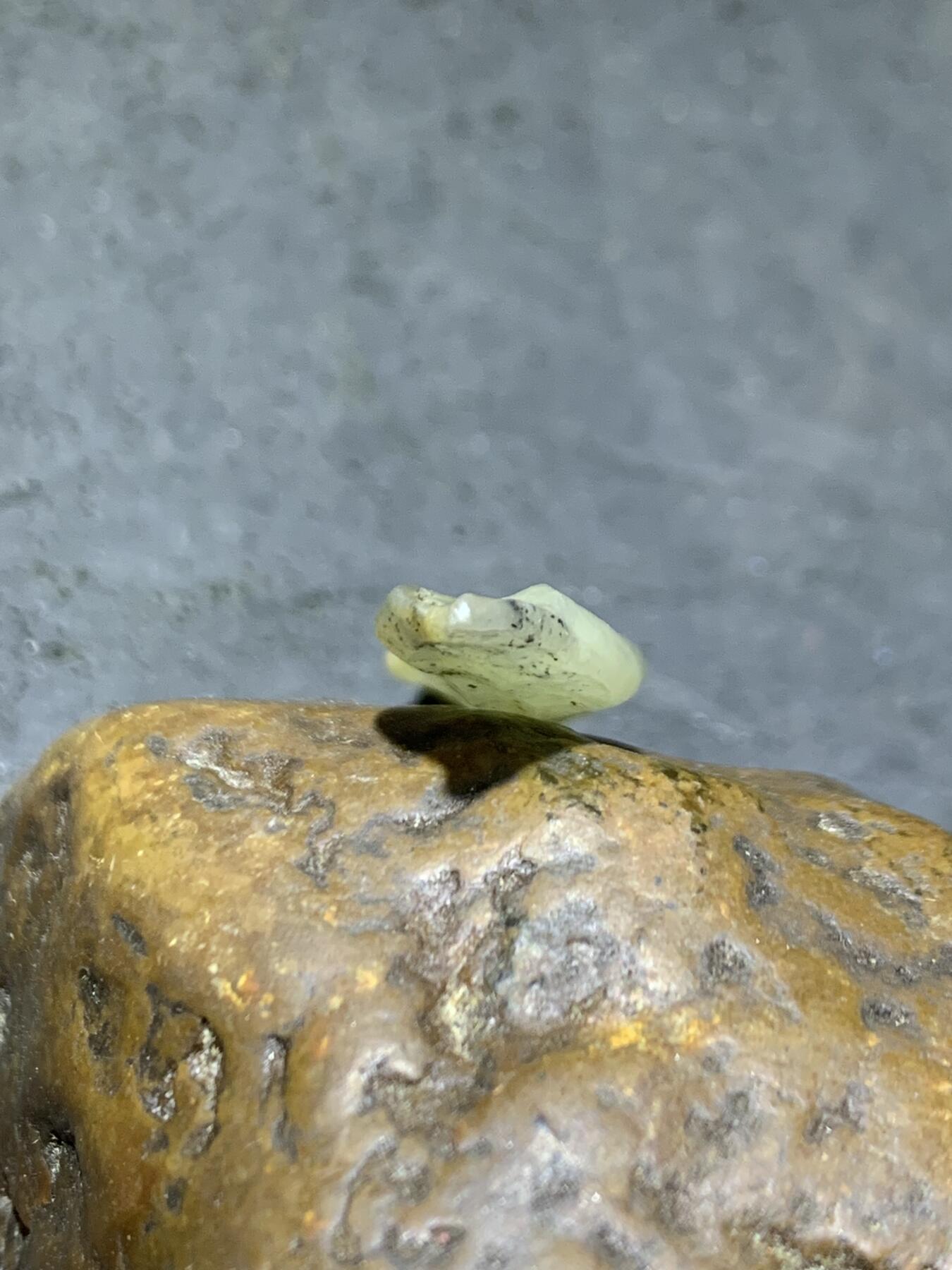 新疆戈壁料风化纹和田玉青白飘青花小原石一颗