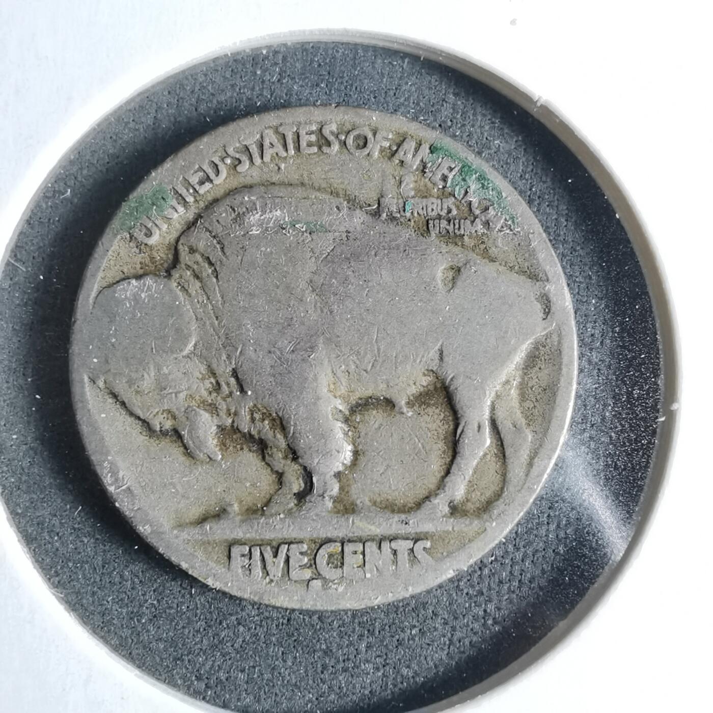 沼泽如烟--第923场 美国野牛五分