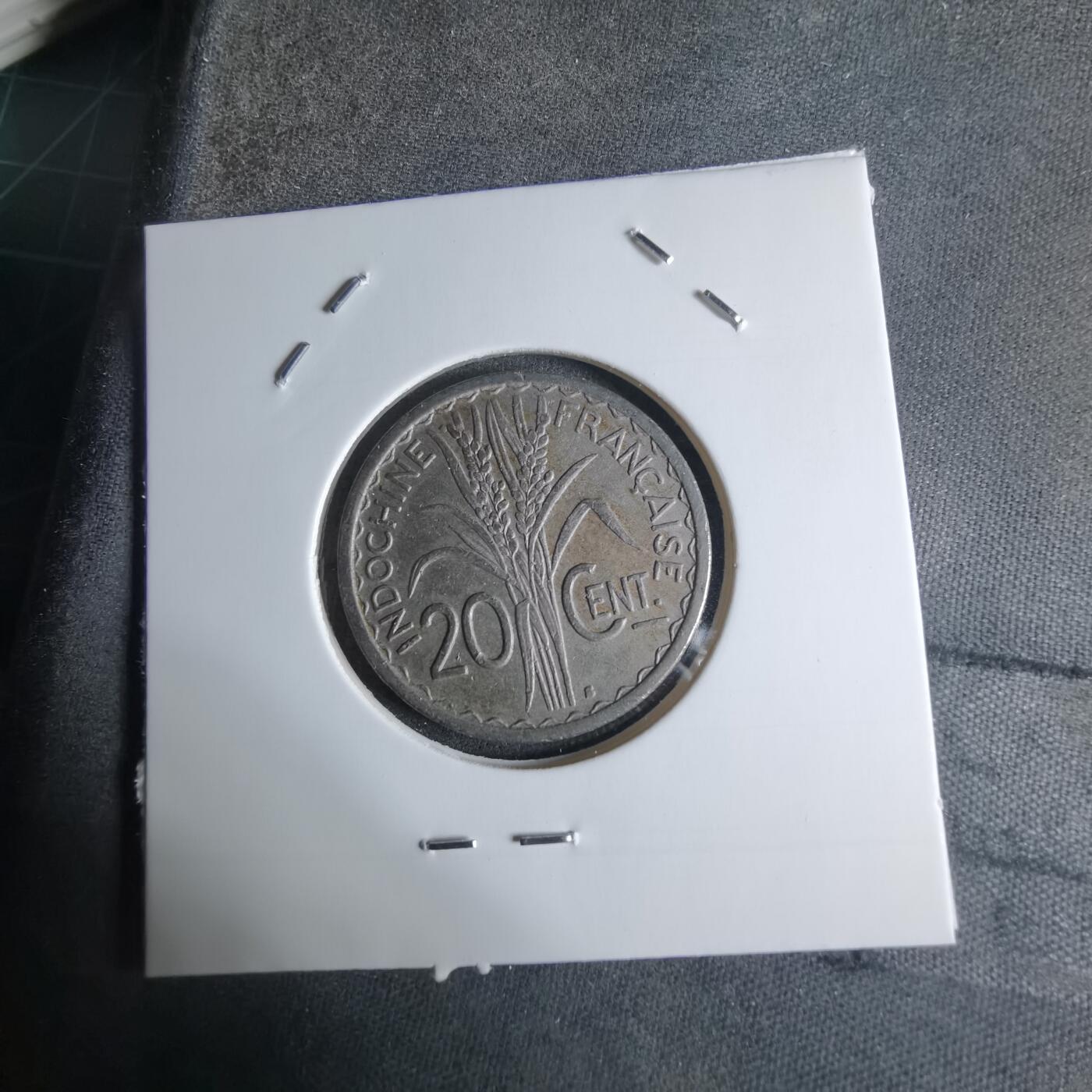 沼泽如烟--第924场