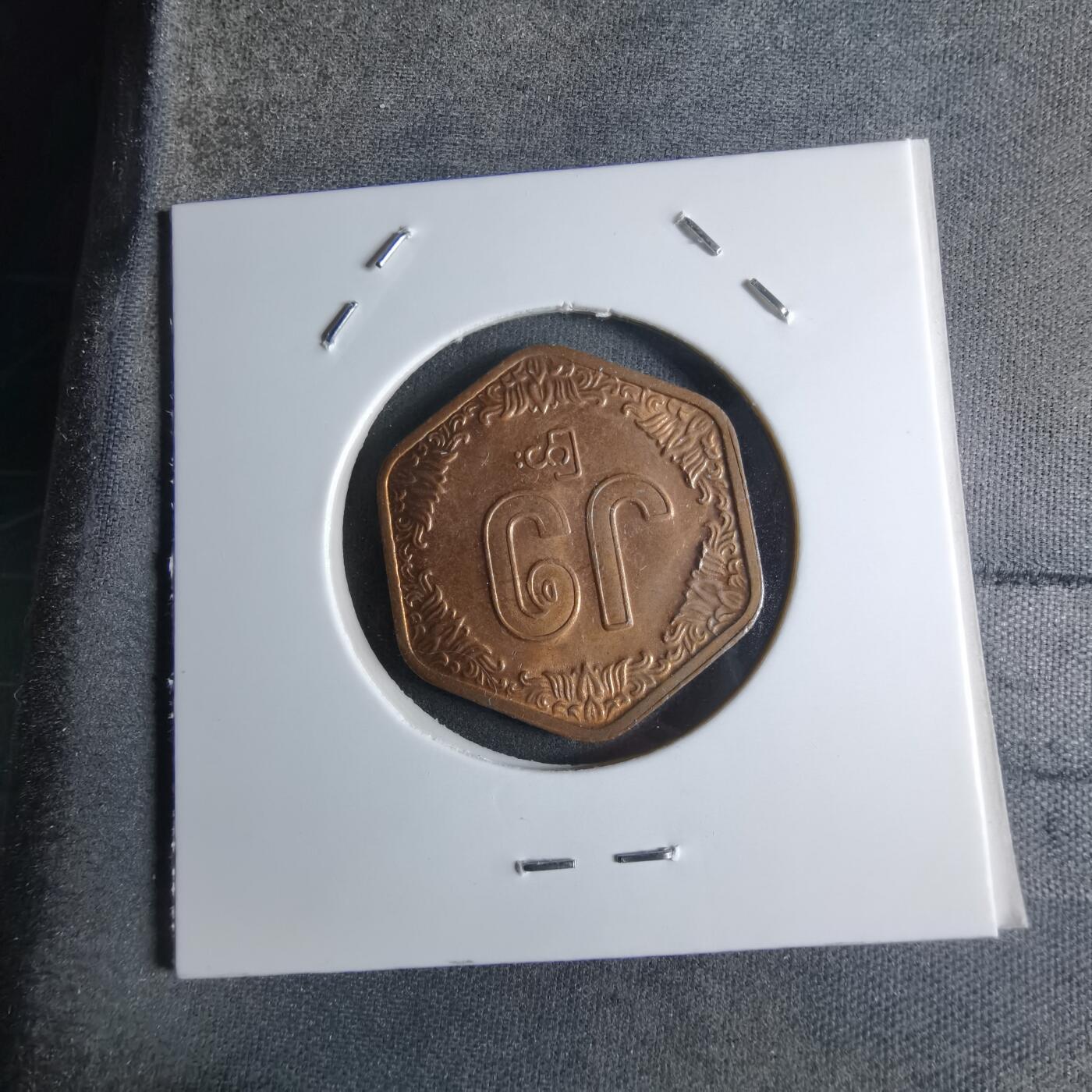 沼泽如烟--第924场