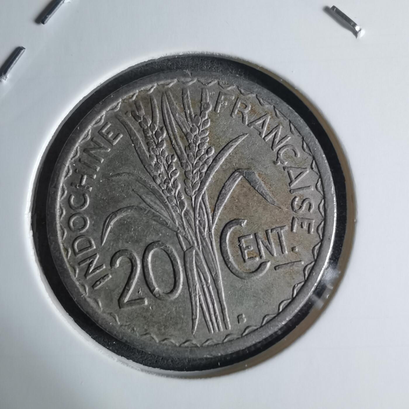 沼泽如烟--第924场