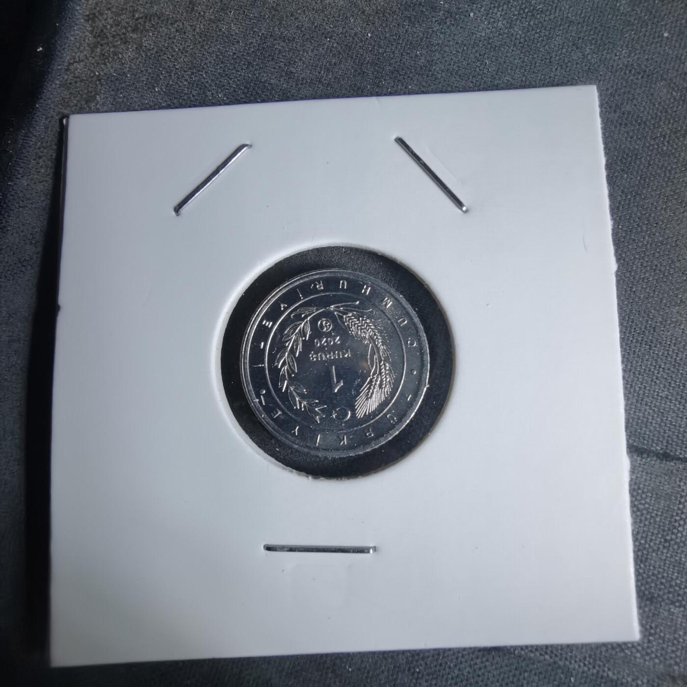 沼泽如烟--第924场