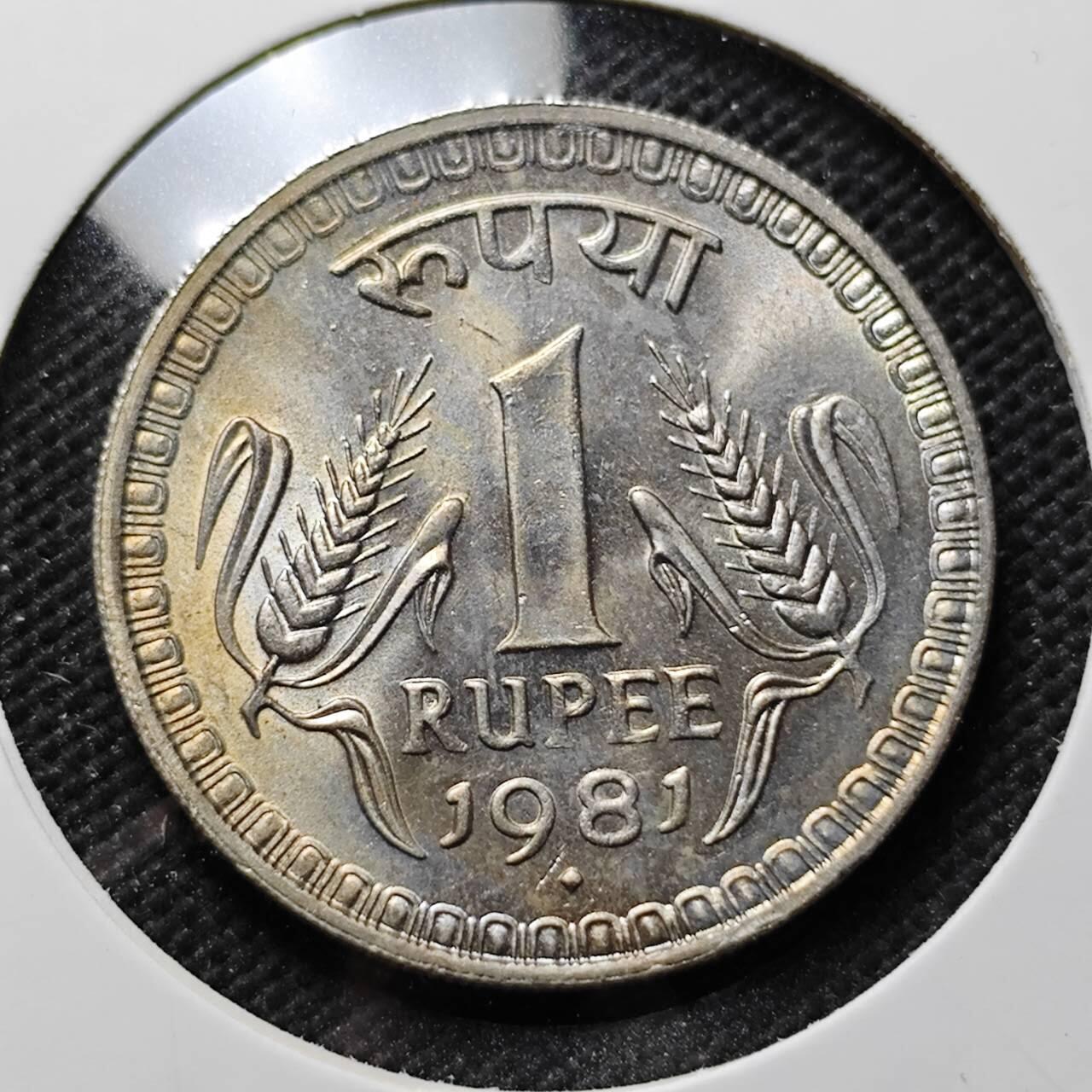 KK钱币收藏小铺 第375期  2月预留时间 周末发货  1981印度1卢比 大卢比 好品