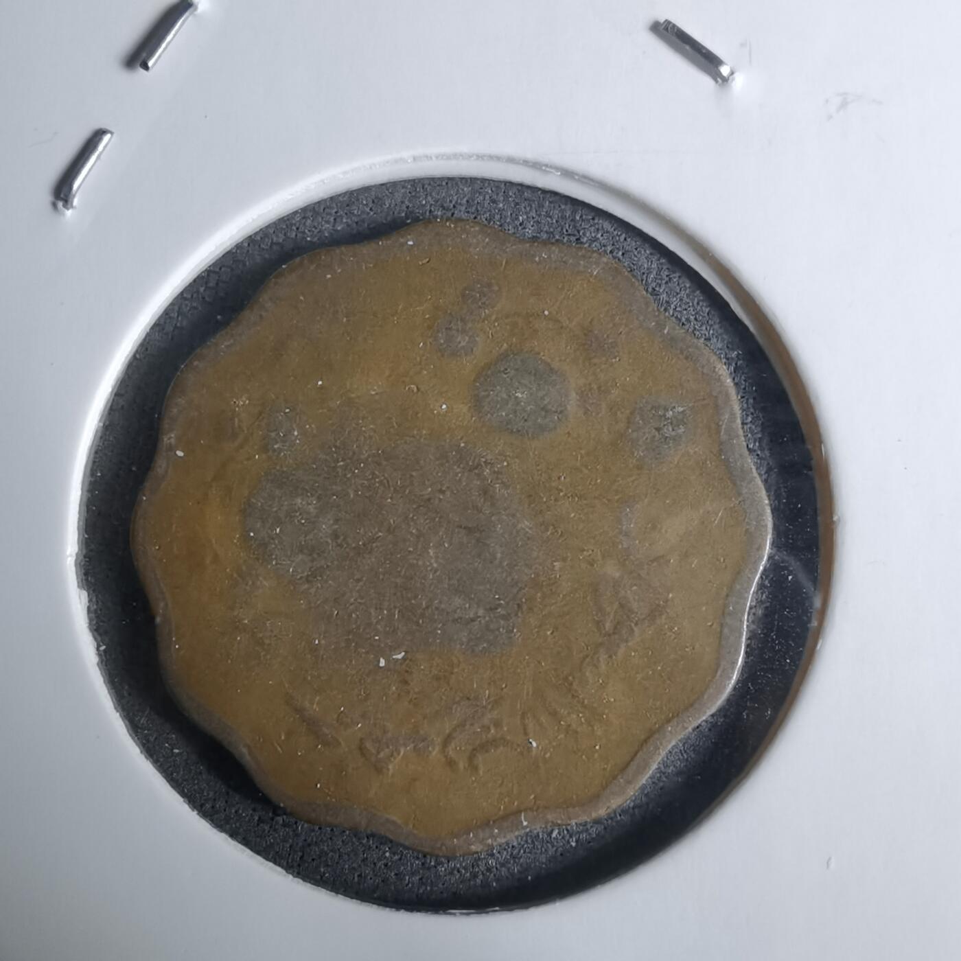 沼泽如烟--第924场