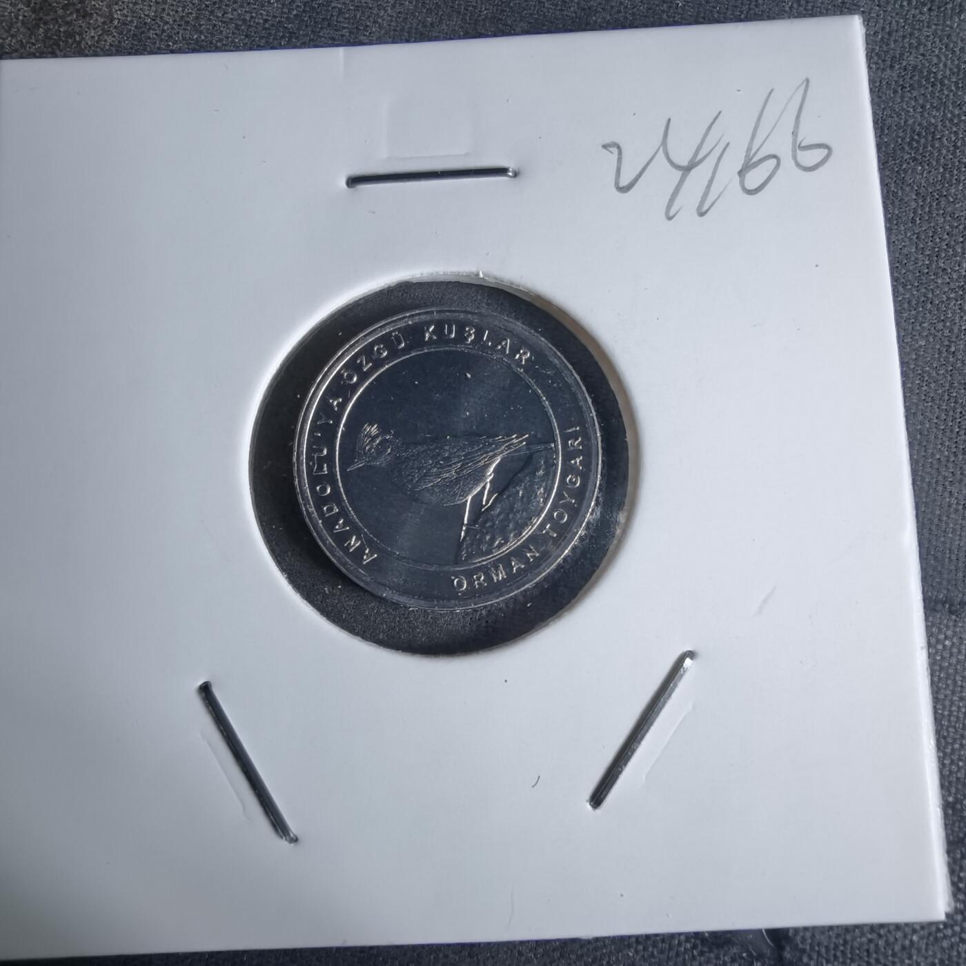 沼泽如烟--第924场