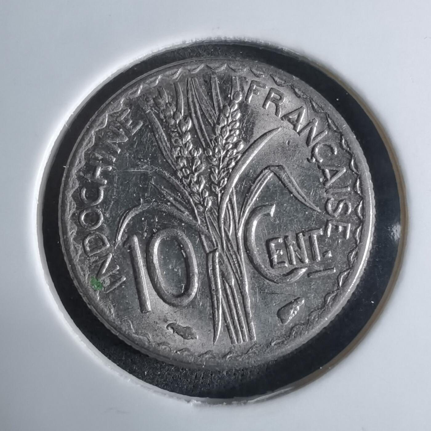 沼泽如烟--第924场