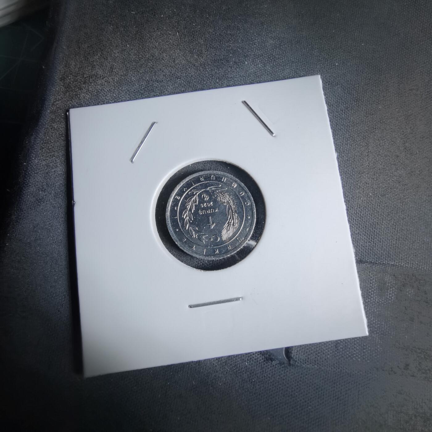 沼泽如烟--第924场