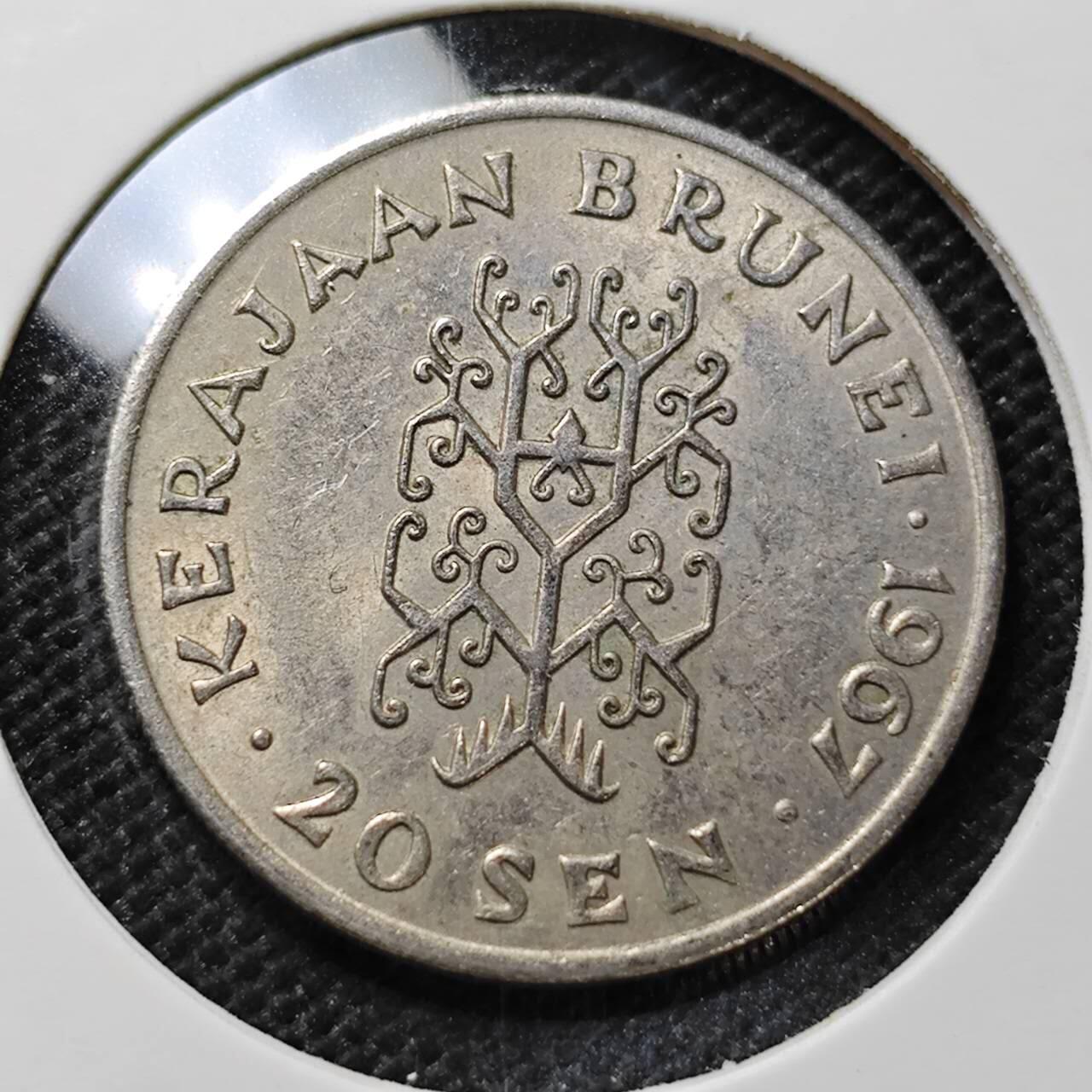 KK钱币收藏小铺 第375期  2月预留时间 周末发货