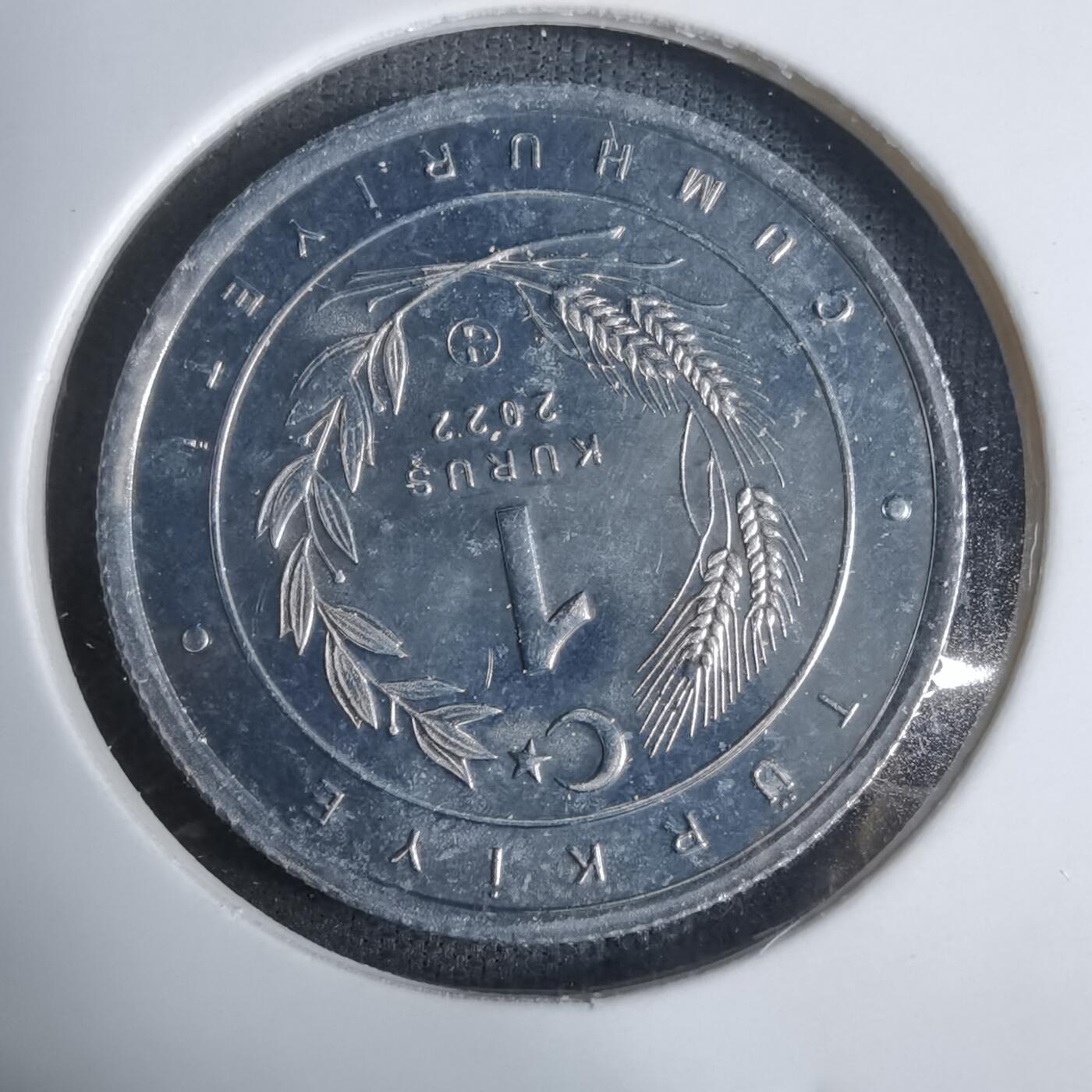 沼泽如烟--第924场