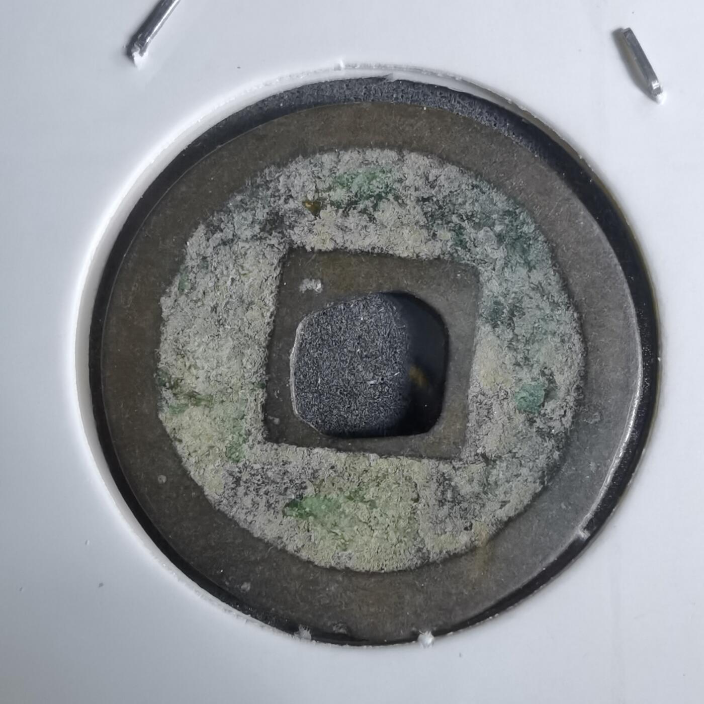 沼泽如烟--第924场