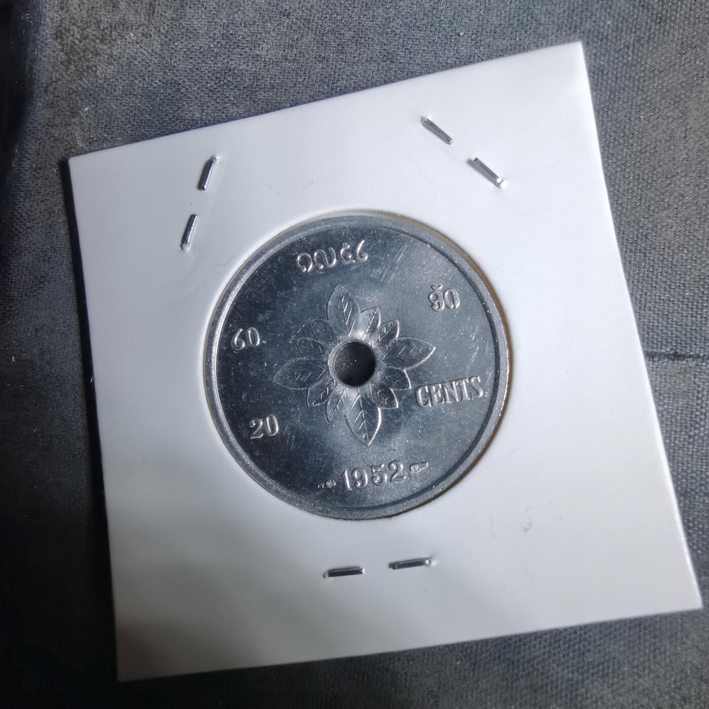 沼泽如烟--第924场