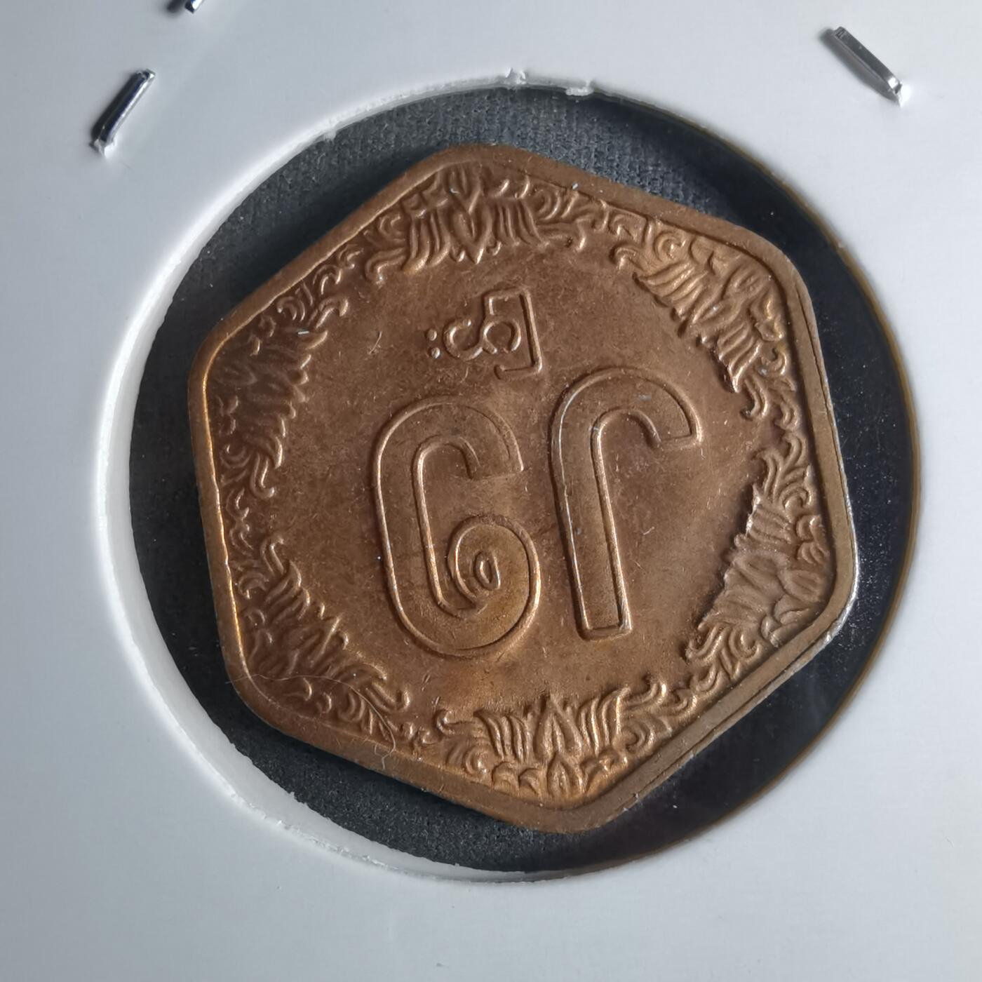 沼泽如烟--第924场