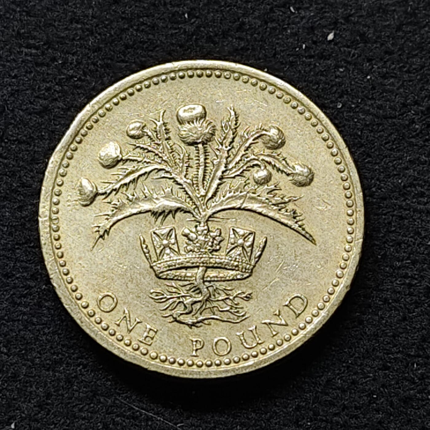 【全场包邮】纯粹捡漏拍484场（免费代拍第21场） 英国1984年1镑四邦国花系列苏格兰蓟花纪念币