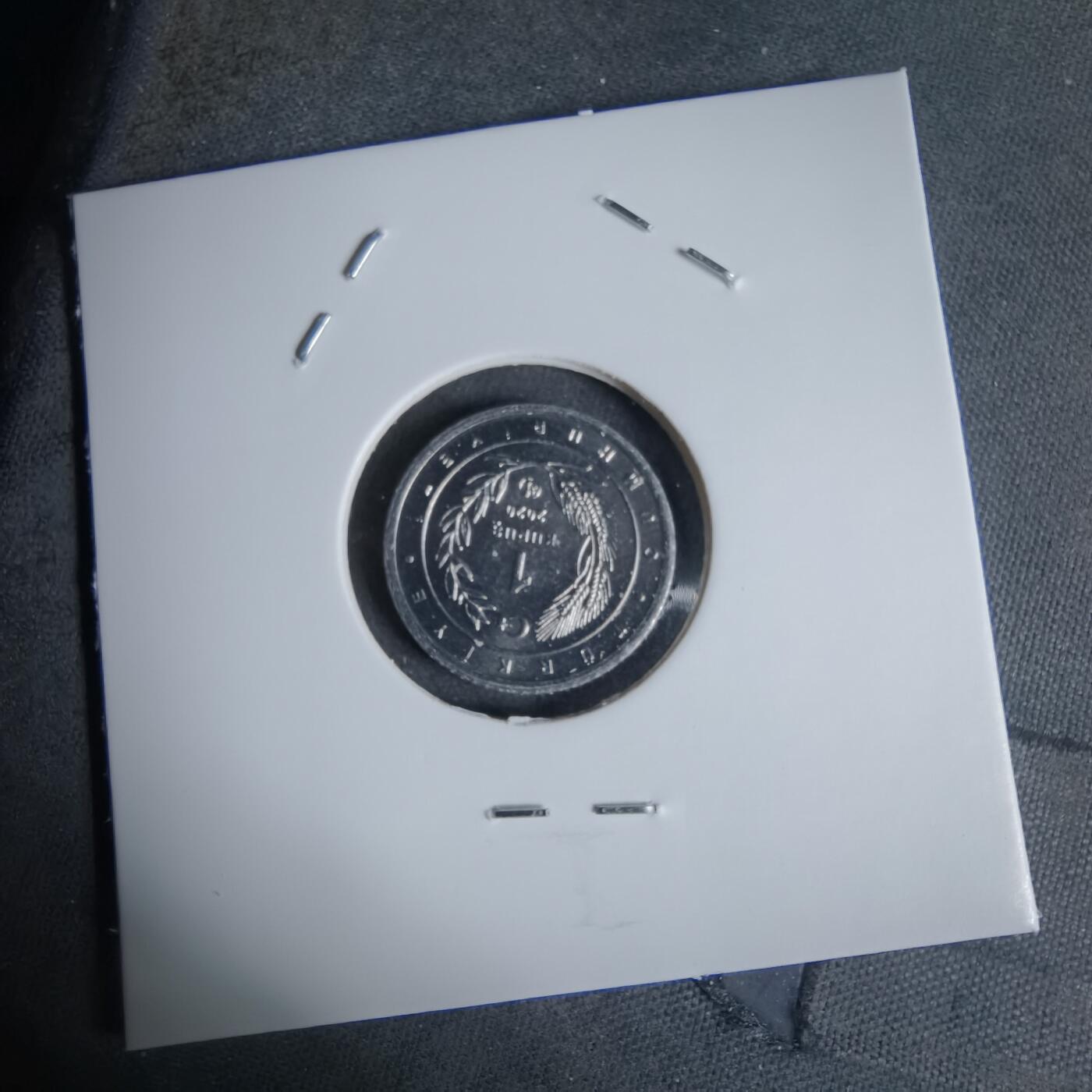 沼泽如烟--第924场