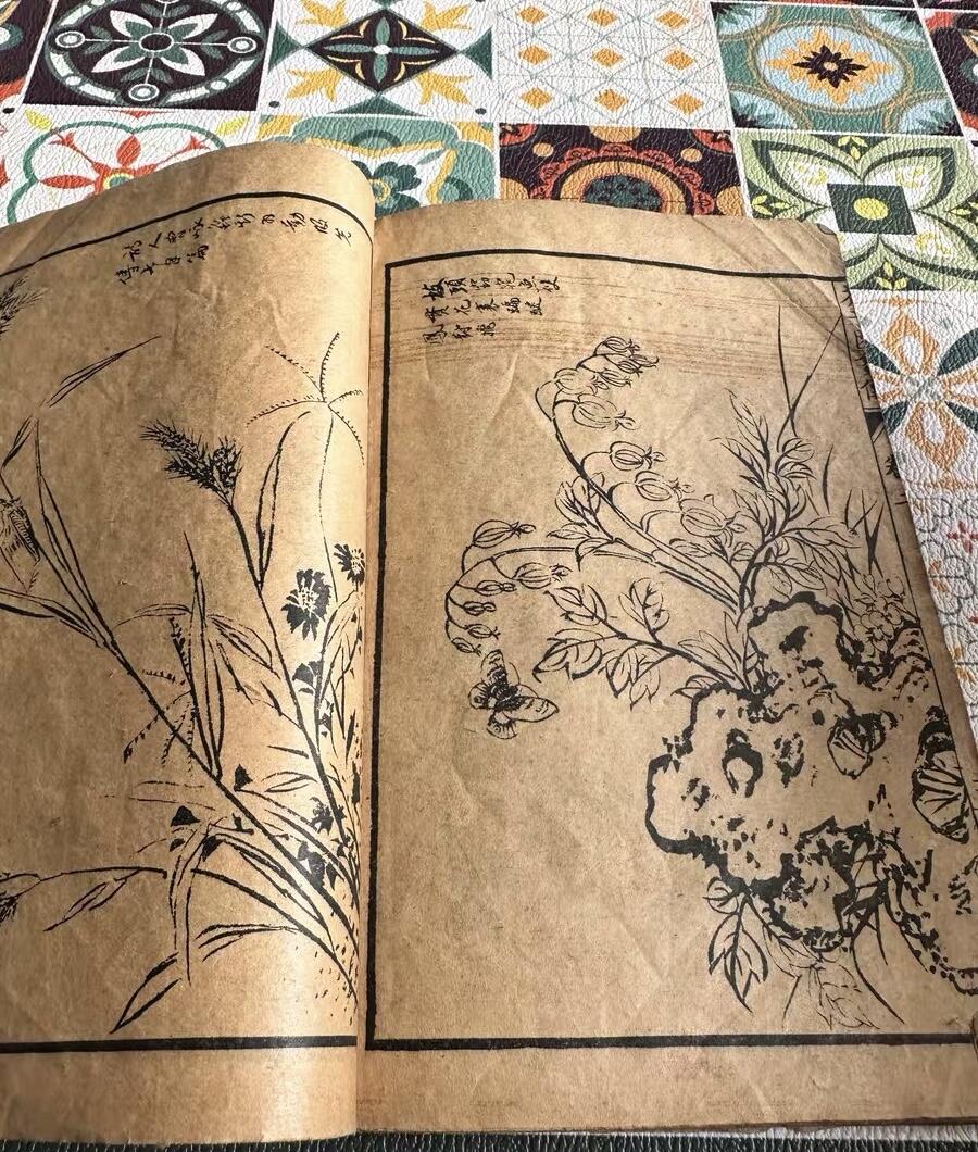 民国芥子园草虫花卉谱一册（无托实拍）