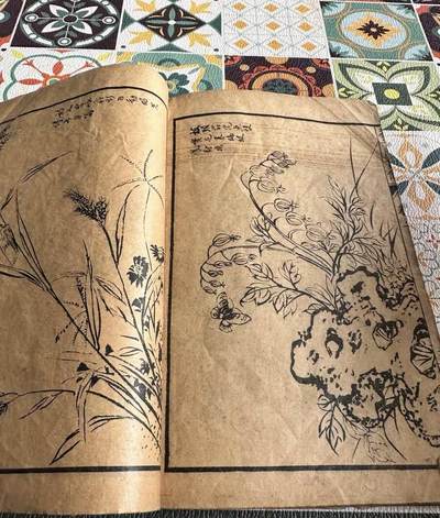 民国芥子园草虫花卉谱一册（无托实拍） - 民国芥子园草虫花卉谱一册（无托实拍）