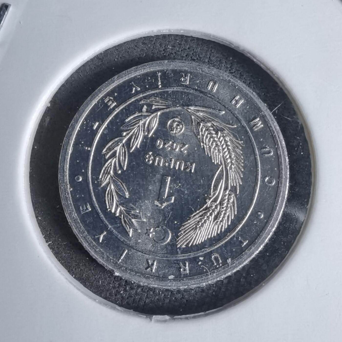 沼泽如烟--第924场