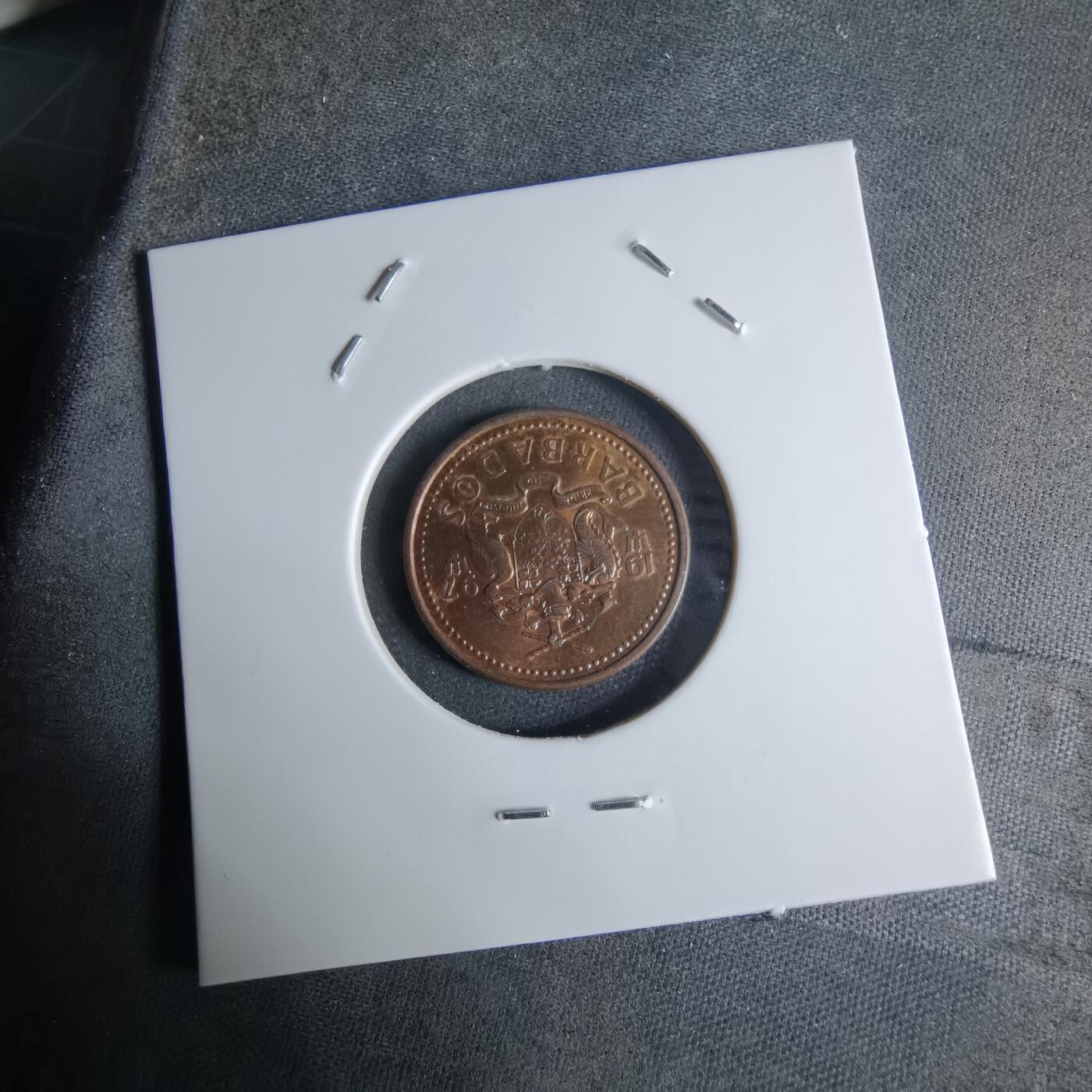 沼泽如烟--第924场