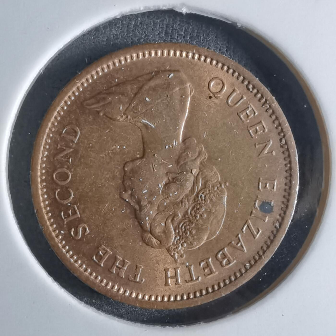 沼泽如烟--第924场