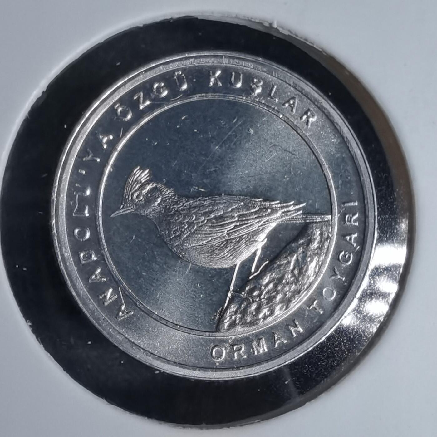 沼泽如烟--第924场