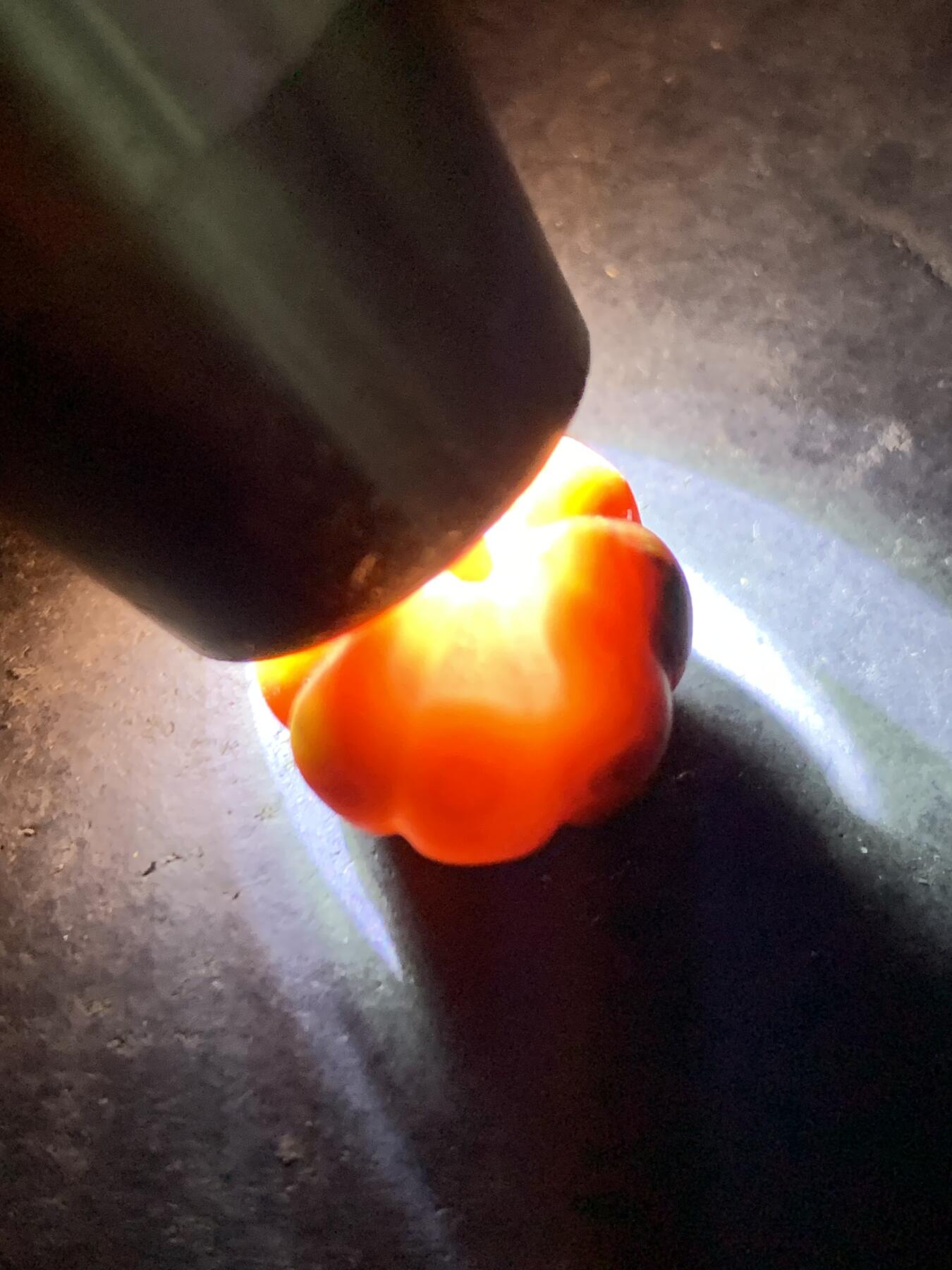 精美亚光冰飘战国红玛瑙手工雕刻瓜珠一颗！