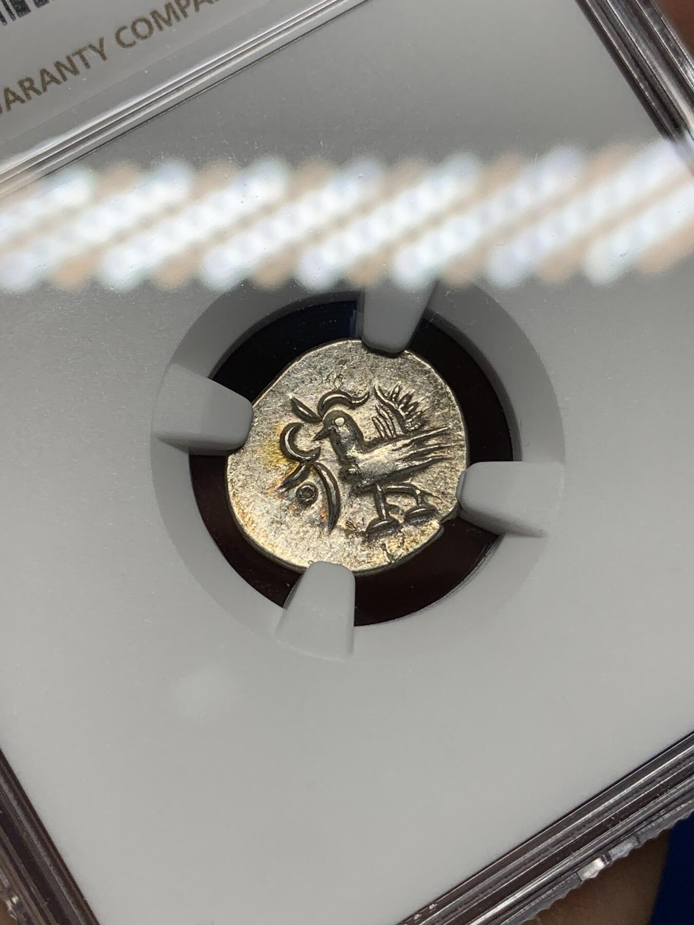 《竞宝斋》第445场 周日，周一，2场连拍 （全场包邮）