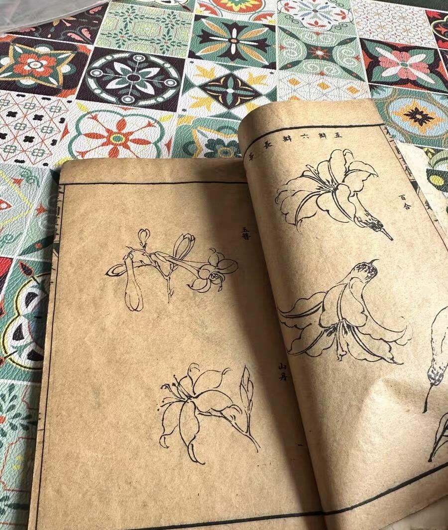 民国芥子园草虫花卉谱一册（无托实拍）