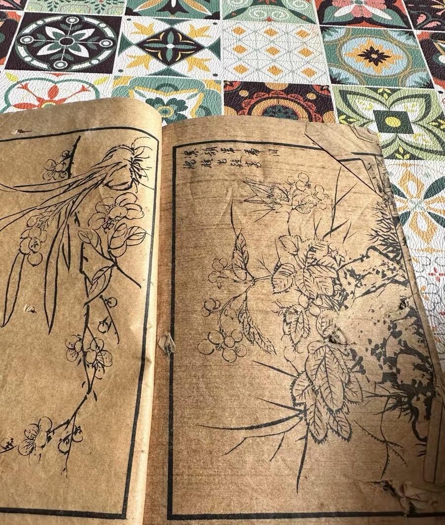 民国芥子园草虫花卉谱一册（无托实拍）