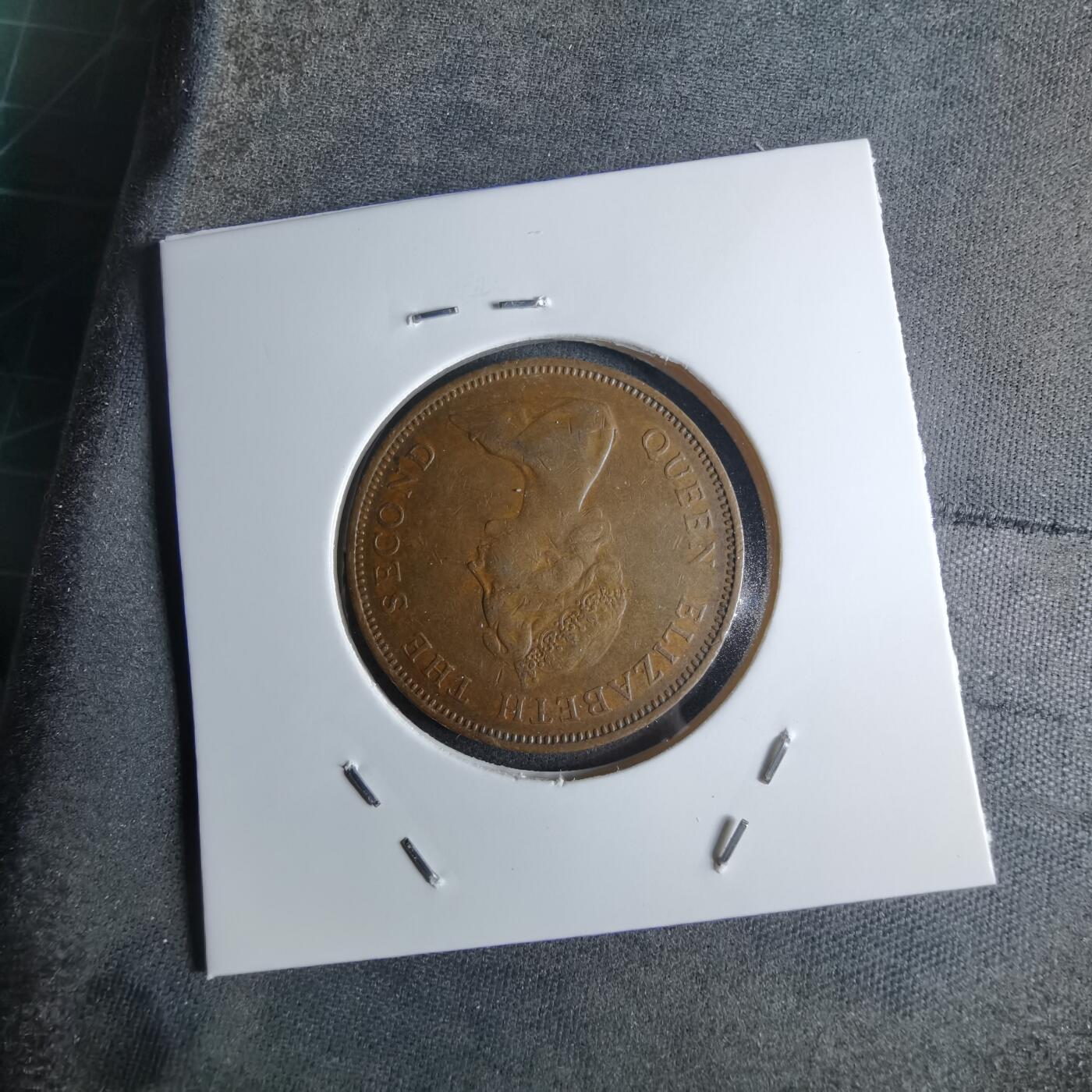 沼泽如烟--第924场