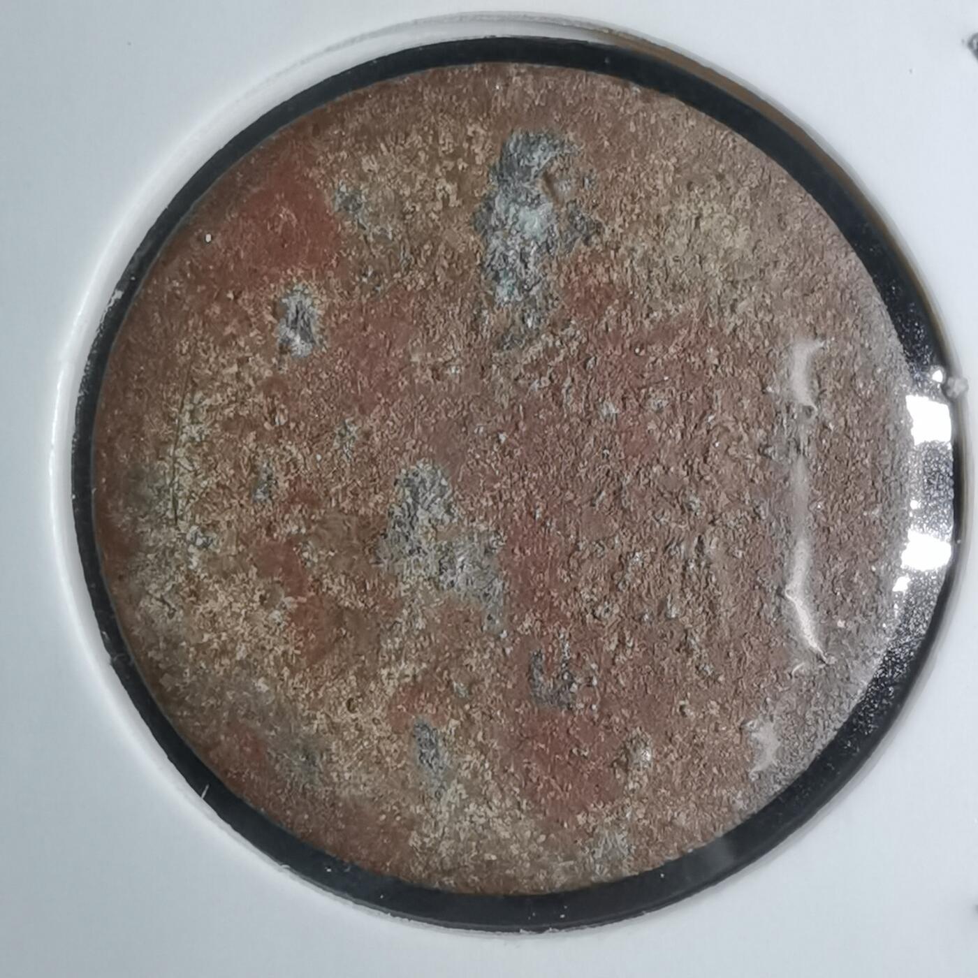 沼泽如烟--第924场 不认识