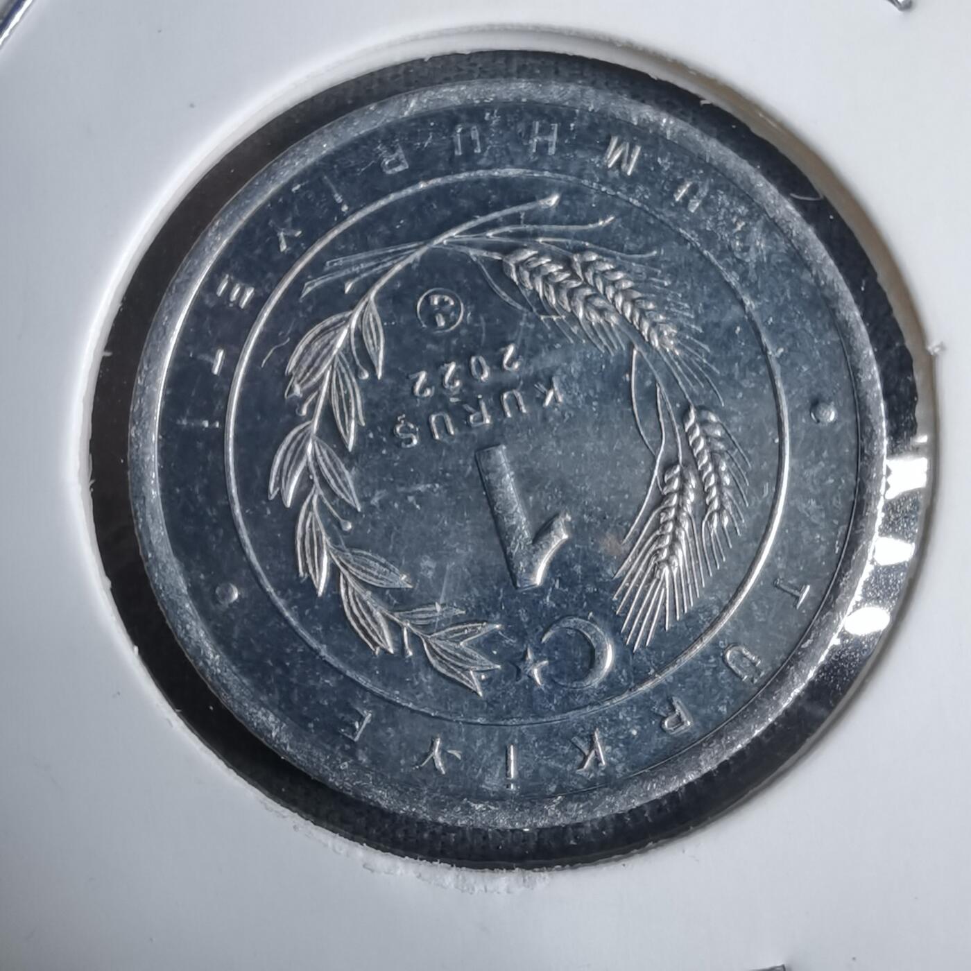 沼泽如烟--第924场