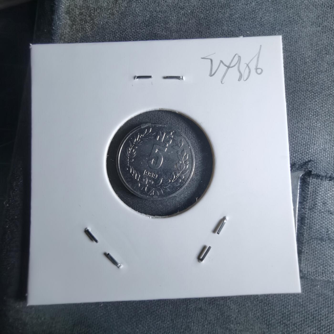 沼泽如烟--第924场