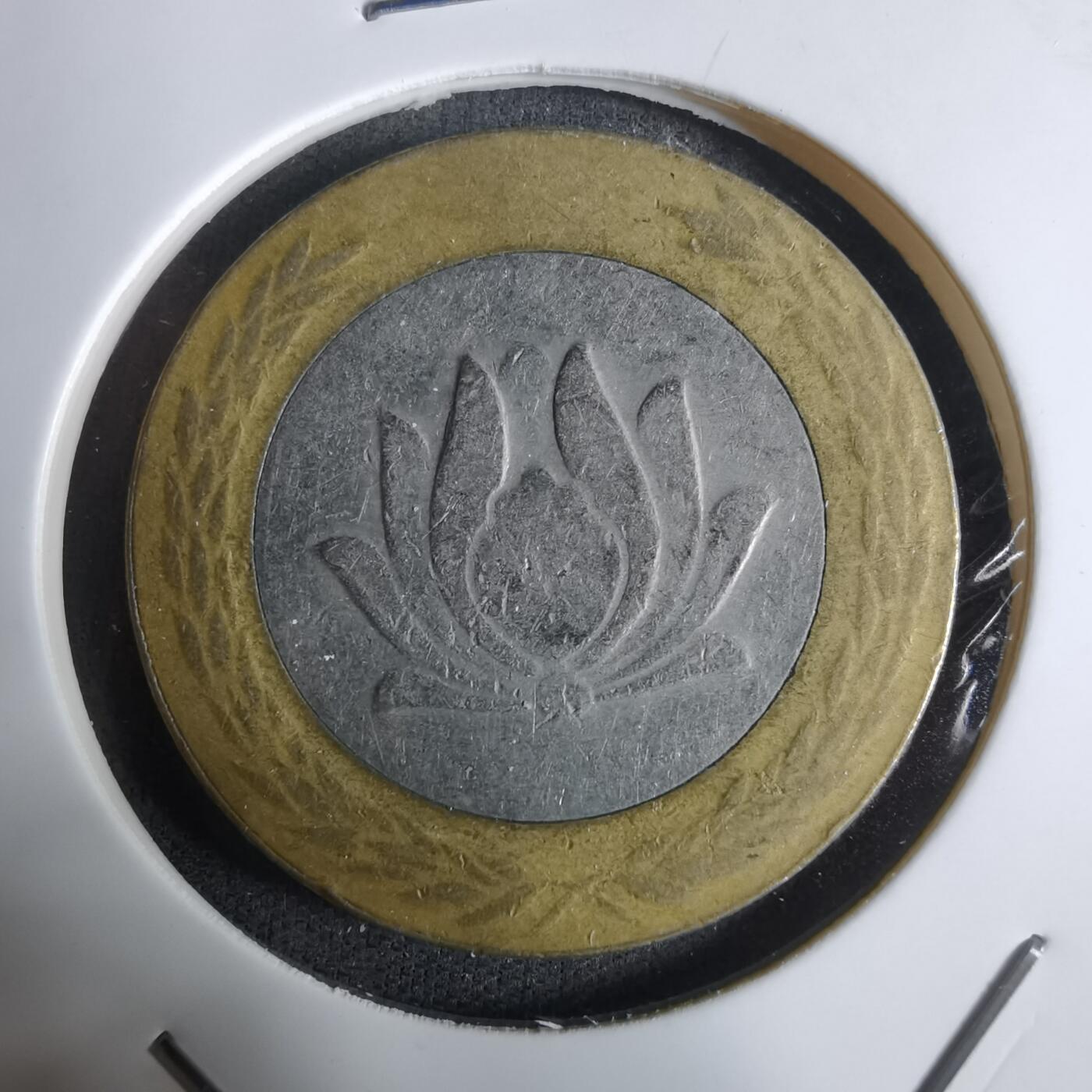 沼泽如烟--第924场