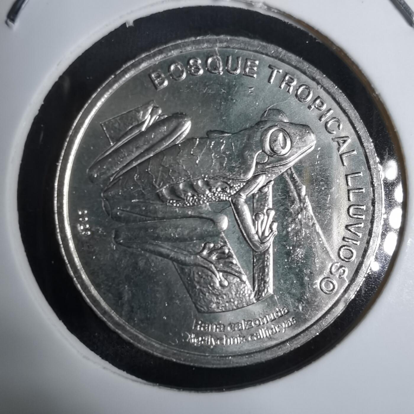 沼泽如烟--第924场