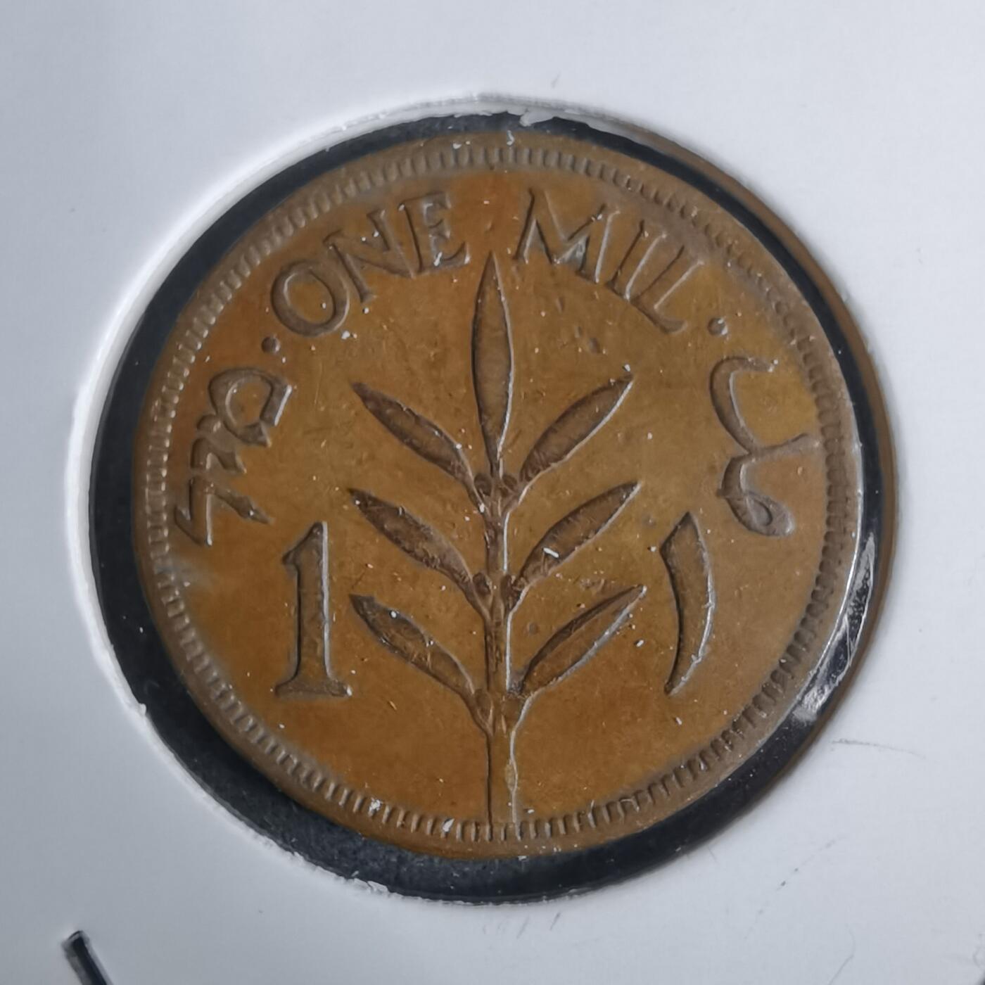 沼泽如烟--第924场