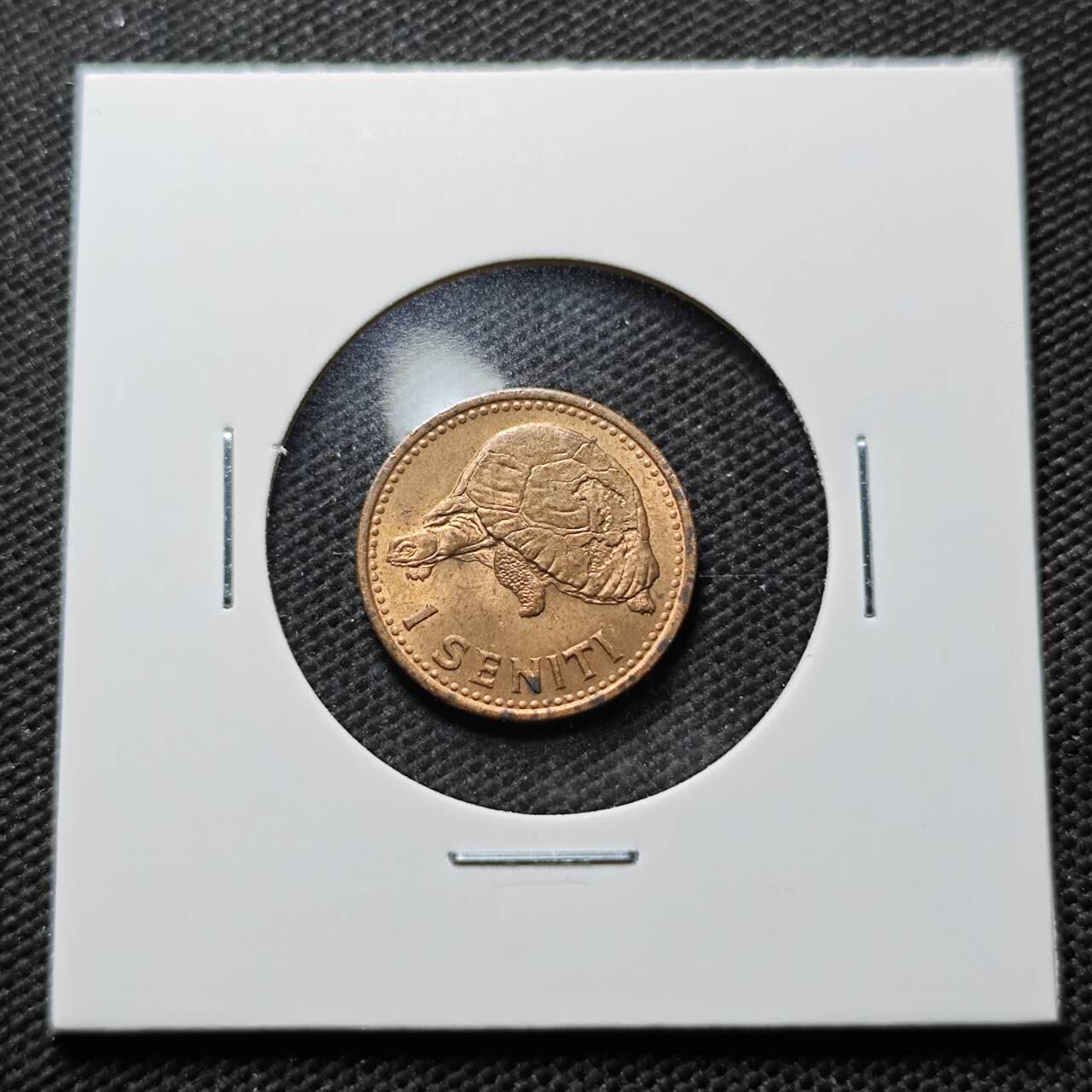 KK钱币收藏小铺 第375期  2月预留时间 周末发货  汤加1分铜币 好品