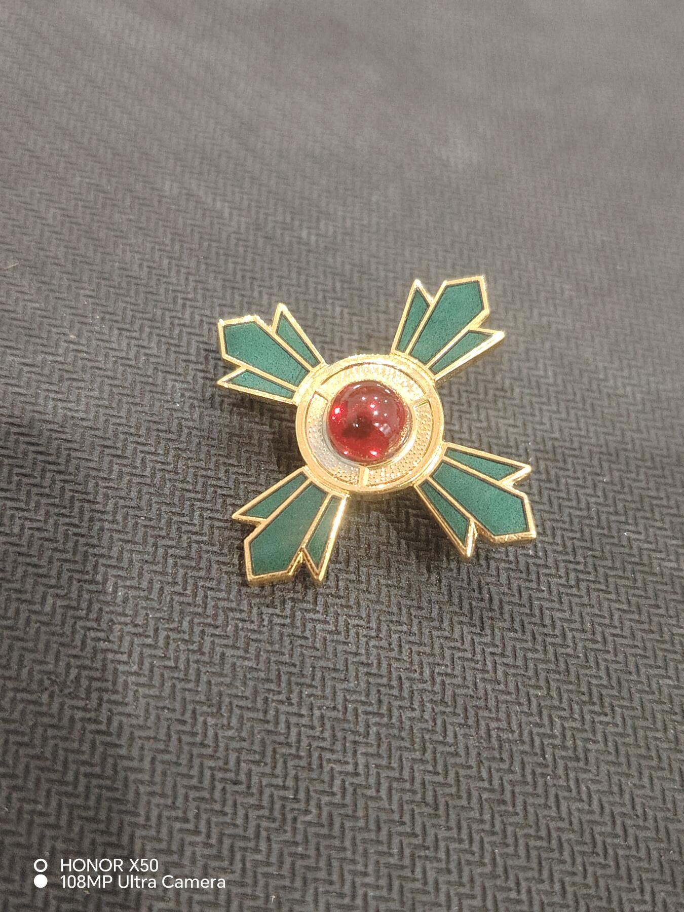 城南花开💐83场 绿十字单章