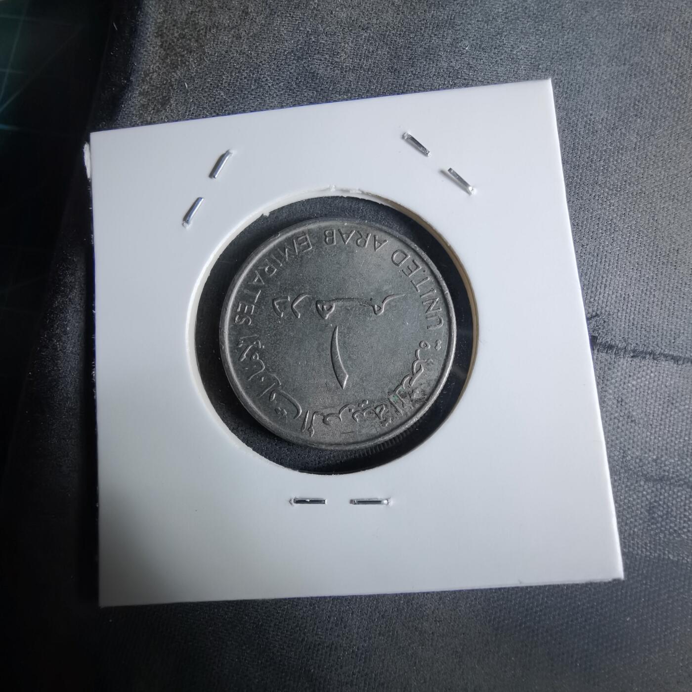 沼泽如烟--第924场