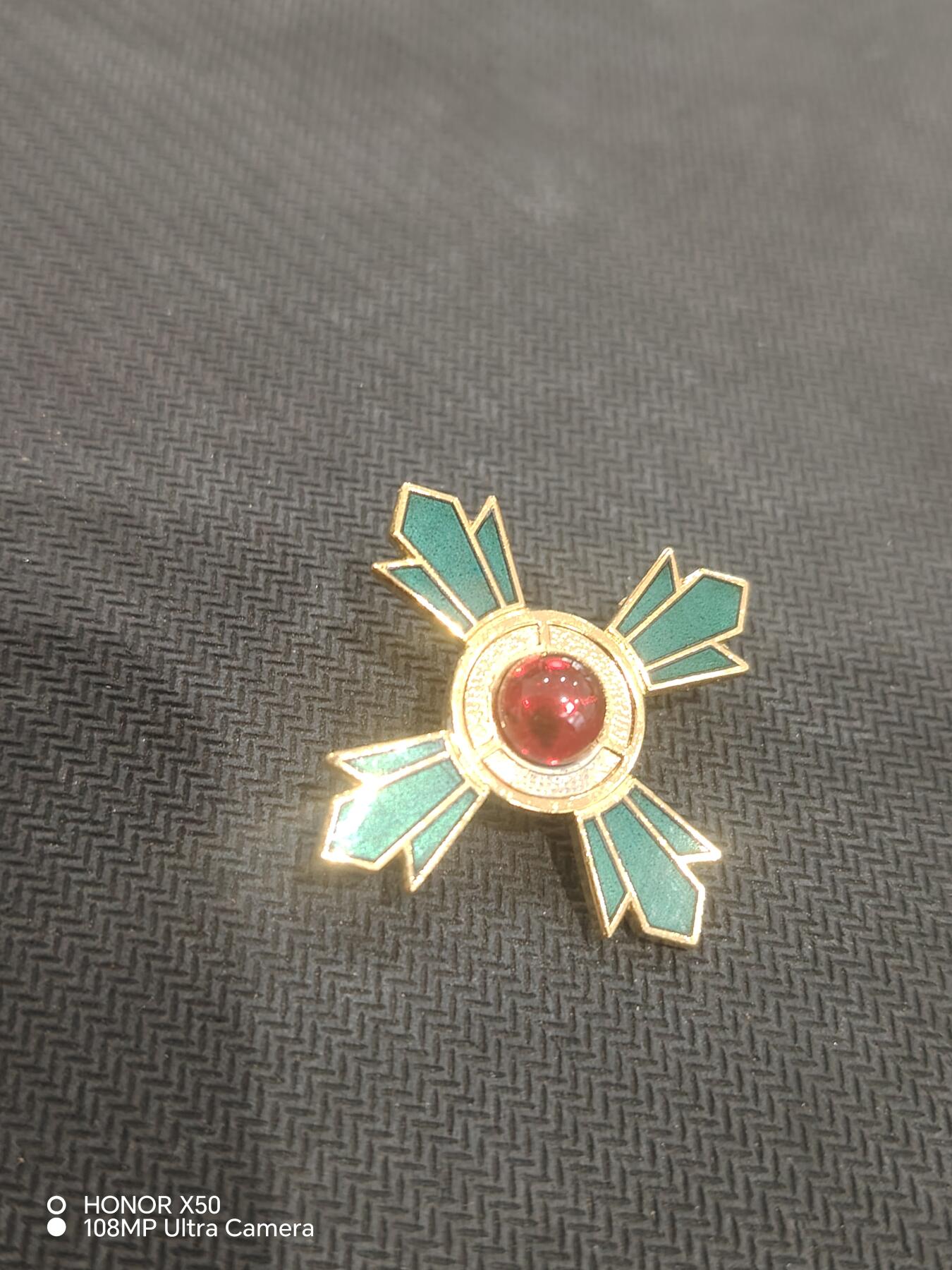 城南花开💐83场 绿十字单章