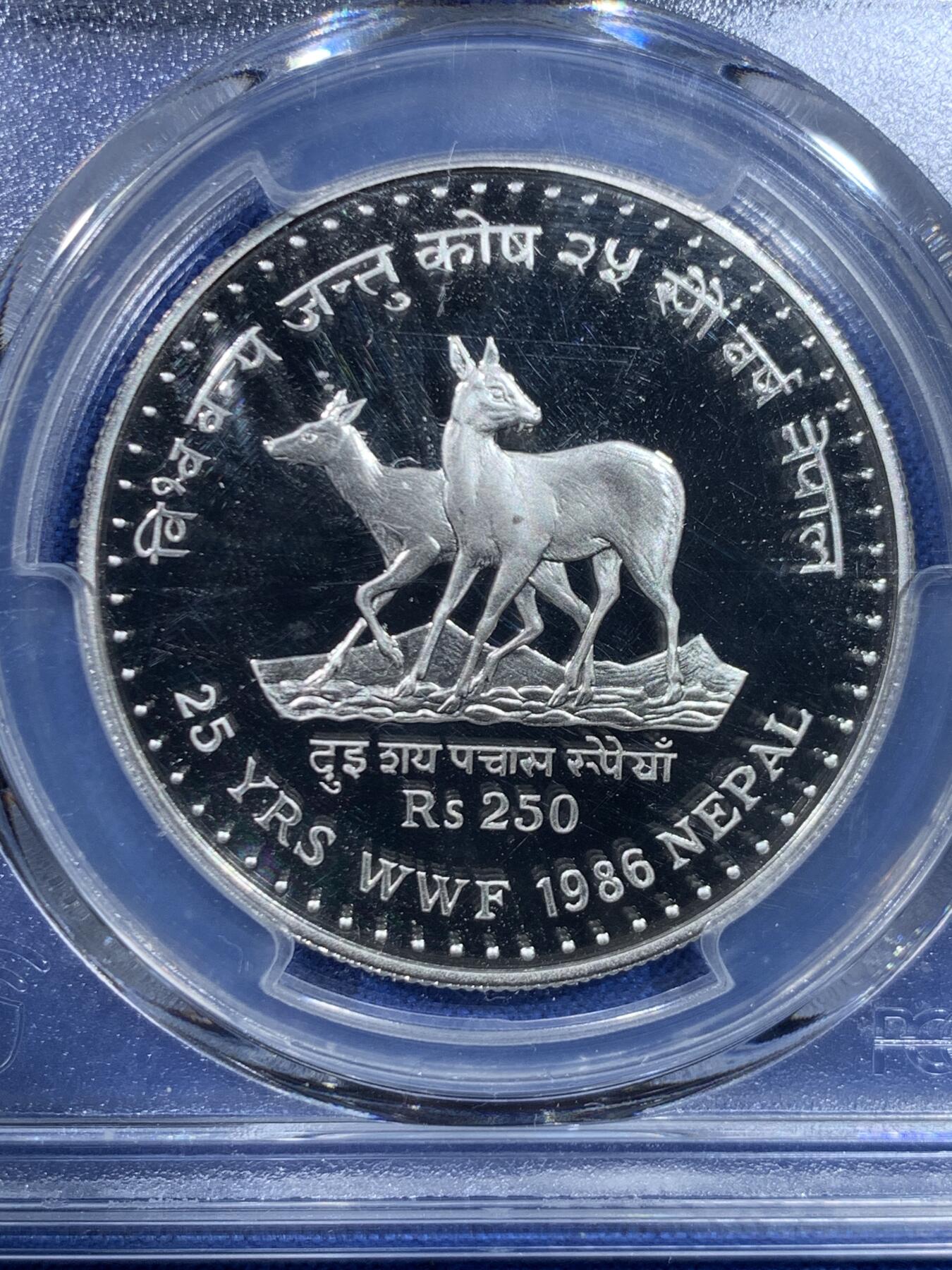 《竞宝斋》第445场 周日，周一，2场连拍 （全场包邮） NGC PF69UC 1986年尼泊尔250卢比银币，经典WWF题材，强镜面效果，光亮如镜，PC亚军分数，一步到位的选择。